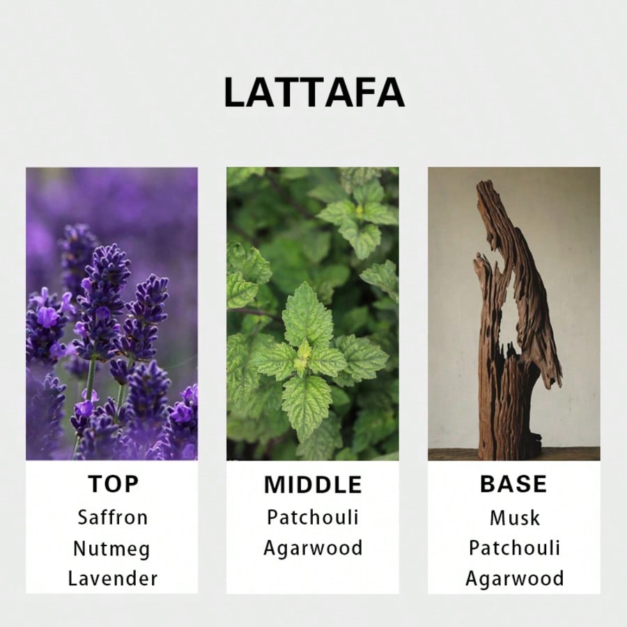 Lattafa Badee Al Oud For Glory - đánh giá và giá Perfume Fragrance Free