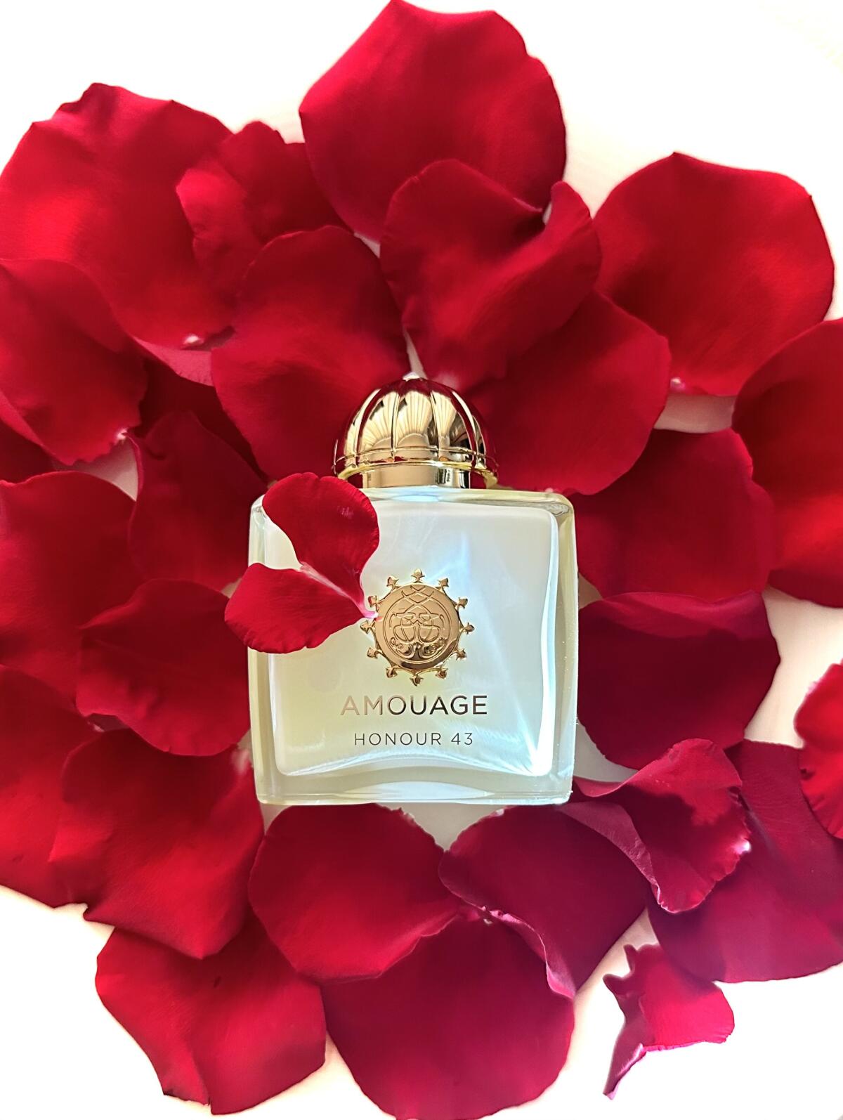 Amouage Honour 43 Woman Extrai - đánh giá và giá Perfume Fragrance Families