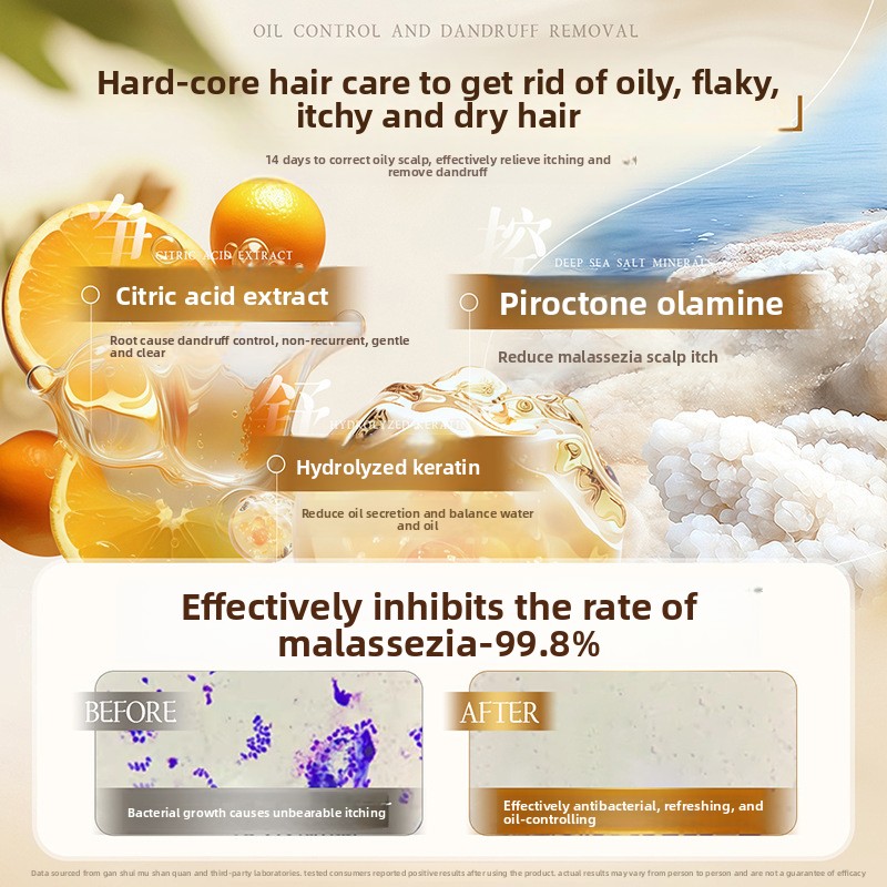 Oil control fluffy shampoo dan - đánh giá và giá Perfume Fragrance Shampoo