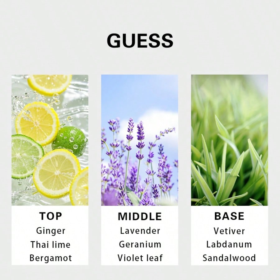 Guess Forever men Eau De Toile - đánh giá và giá Perfume Fragrance Free