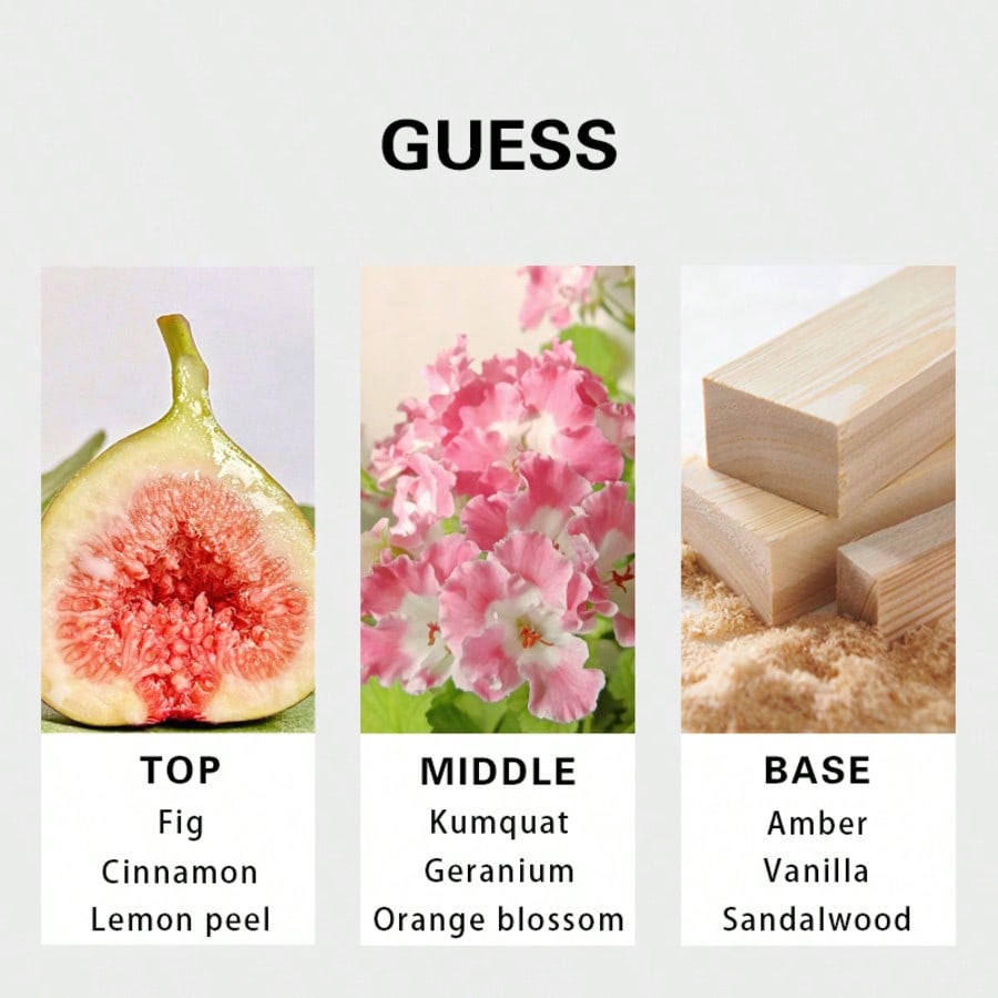 Guess Seductive Homme Redmen E - đánh giá và giá Perfume Fragrance Free