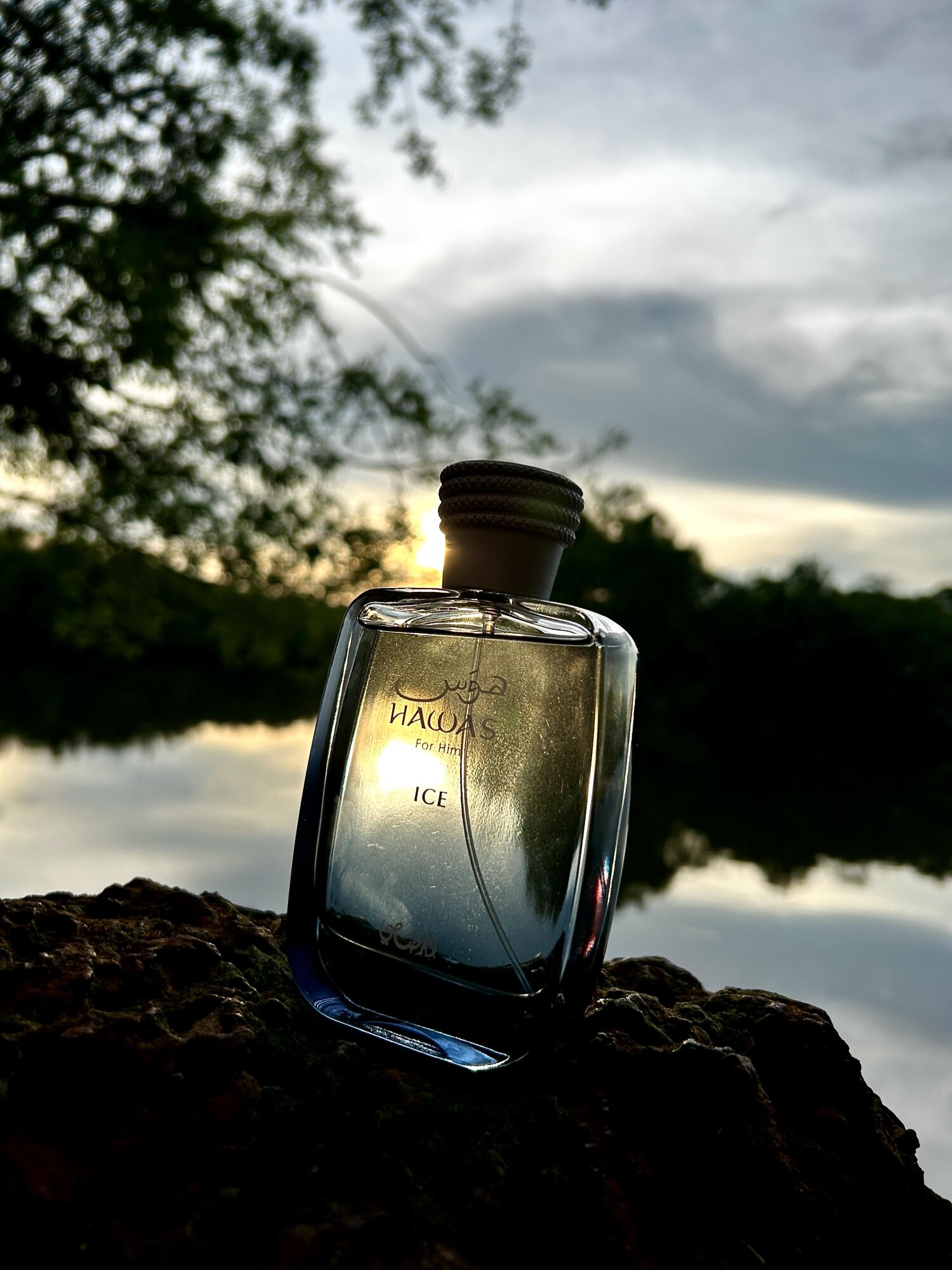 Rasasi Hawas Ice For Men Eau D - đánh giá và giá Amber Musk Oil